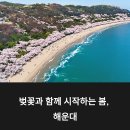 중2동-20 | 부산 해운대 봄 축제