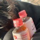 히얼퍼피 | 내가 사랑하는 10월