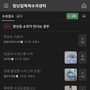 장난감척척수리센터 이미지