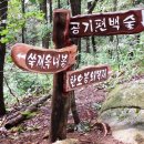 상관 공기마을 편백숲 이미지