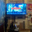 스페이스이엔엠 | 와누카 내한공연 후기: WANUKA LIVE IN KOREA