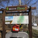 마조리 마을회관 Daum카페