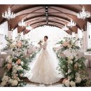 모닝스타 이미지