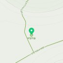 왕벚꽃식당 이미지