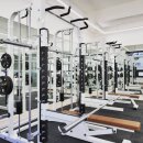 베리 핏 피티 이미지