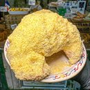 현대카하우스 이미지