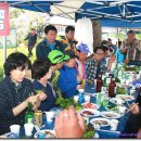 백사초교 이미지