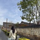 덕진-1 | [전주] 전주 산책 코스 추천! 야경 명소 덕진공원 &amp; 초록 힐링 전주수목원