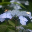 벽산목장 이미지