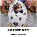 아트밸리 주말공연/ 마트쇼 | 동탄공룡월드 후기｜주말 가족나들이로 딱! 육아맘이 반한 현실 꿀정보 대방출