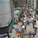 빛+물+바람+흙 함양 항노화 싹틔우기 이미지