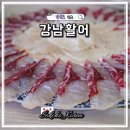강원도 속초 횟집 추천 대포항 대게 맛집 강남활어 애견동반
