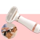 펫살롱 댕댕 이미지