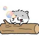 소울메이트북 이미지