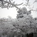 당구데이 이미지