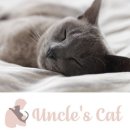 엉클스캣 이미지