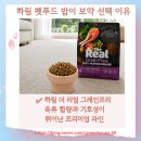 보약을먹는다 | 사료 토 헤어볼 토 자주 하는 고양이 헤어볼 고민 해결! 집사가 먹여본 사료 추천 하림 밥이 보약