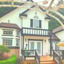 대명노르웨이숲 이미지