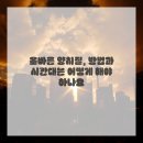 서울려치과의원 이미지