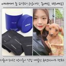 애니케어동물병원 | 서울대 수의학 박사 개발, 강아지 백내장 녹내장 예방을 위한 애니케어 눈 파우더 솔직 후기