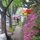 성내천공원 이미지