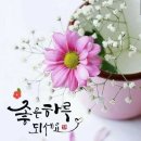 새 옹 지 마(塞 翁 之 馬) 이미지