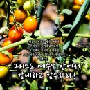 PICTURE&amp;TEXT_20260809_그리스도 예수님 안에서 감내하고 감수하라!_엡 2장 7절_오순절 열한 번째 주일 묵상_무더위 가 이미지