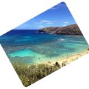 이정미농장 2 | 하와이 신혼여행 후기 (6박8일 반자유여행)