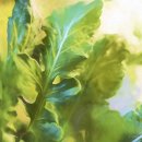 모노가든 이미지