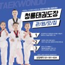 국가대표청룡태권도장 이미지