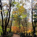 노추산 모정탑길 이미지