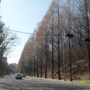 우면산3-34 이미지