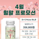 4피엠