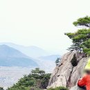 남산행정사사무소 이미지