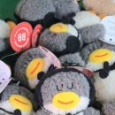 제주누리 이미지