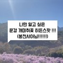 천사꽃농원 이미지