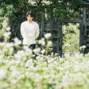 돈도깨비 이미지