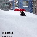 한스타일 | 서울 이태원 무료전시회 한스타일스튜디오 구본희 사진전 <IN BETWEEN> 관람 후기