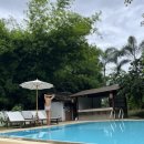 홍인약국 | 도파민 찾아 떠난 치앙마이_Day 7 / 찡짜이마켓 / Brewginning / 라탄거리 / 창푸악수끼 / 치앙마이...