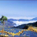 하늘계단 이미지