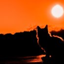 관촌약국 이미지