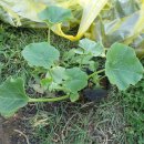 백석농협경제사업소 이미지