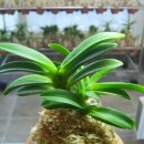 두엽농장 이미지