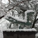 우장산 이미지