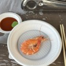 쌍봉로 | [화성] 방갈로에서 편하게 즐겨요 내돈내산 생새우 대하구이 대하수산외식공간