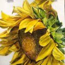 수채화(고) 이미지