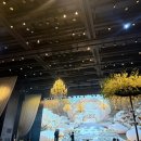 대명씨엘 | [신부관리 전문샵 원장의 결혼준비] 대전 웨딩홀 투어, 일단은 ICC 웨딩홀로 결정 2027년 1월 (비수기...