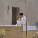 2026.07.02. 성체현시 및 성체강복 이미지