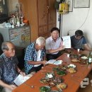 대월면사무소 이미지