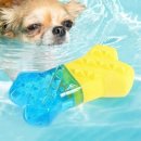 쿨한 강아지 이미지